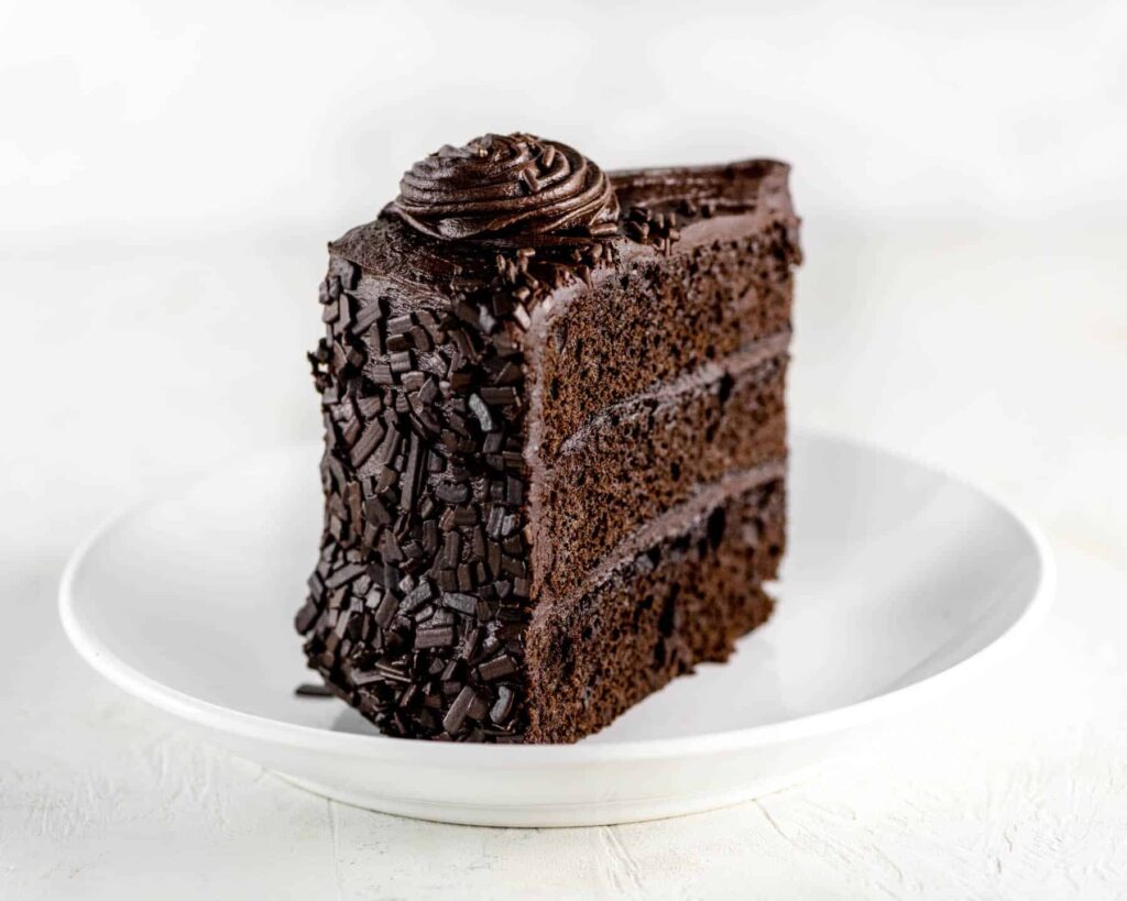 three layer chocolate cake with chocolate frosting and chocolate sprinkles